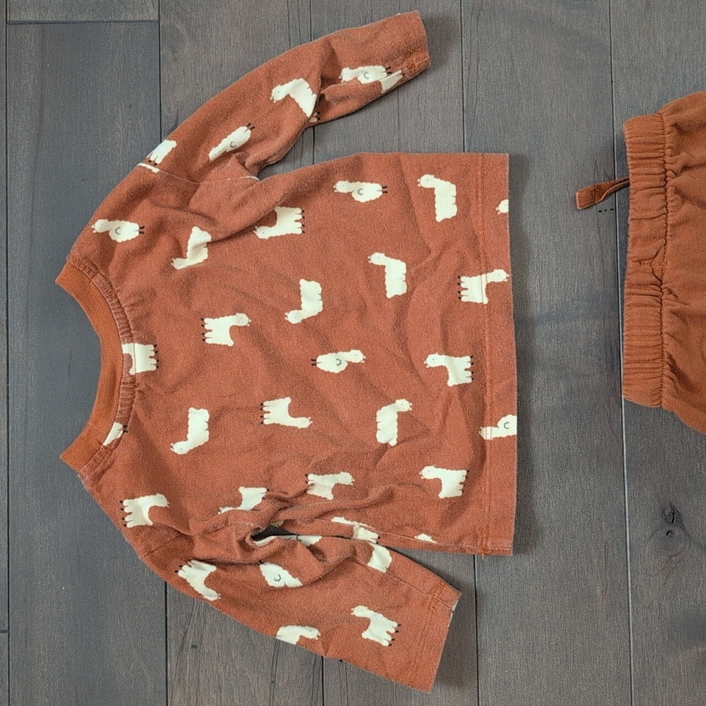 Hanna Andersson 12-18 Month Llama Print Long Sleeve Tee & French Terry Pants Set - Picture 11 of 11